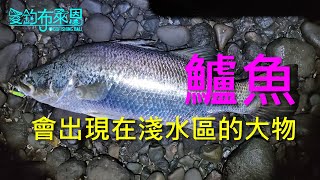 (16) 鱸魚的習性與釣法(金目鱸、七星鱸)【知魚不龜系列】 