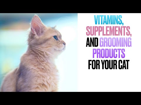 Video: What Vitamins To Give A Cat