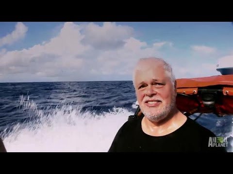 paul watson whale wars