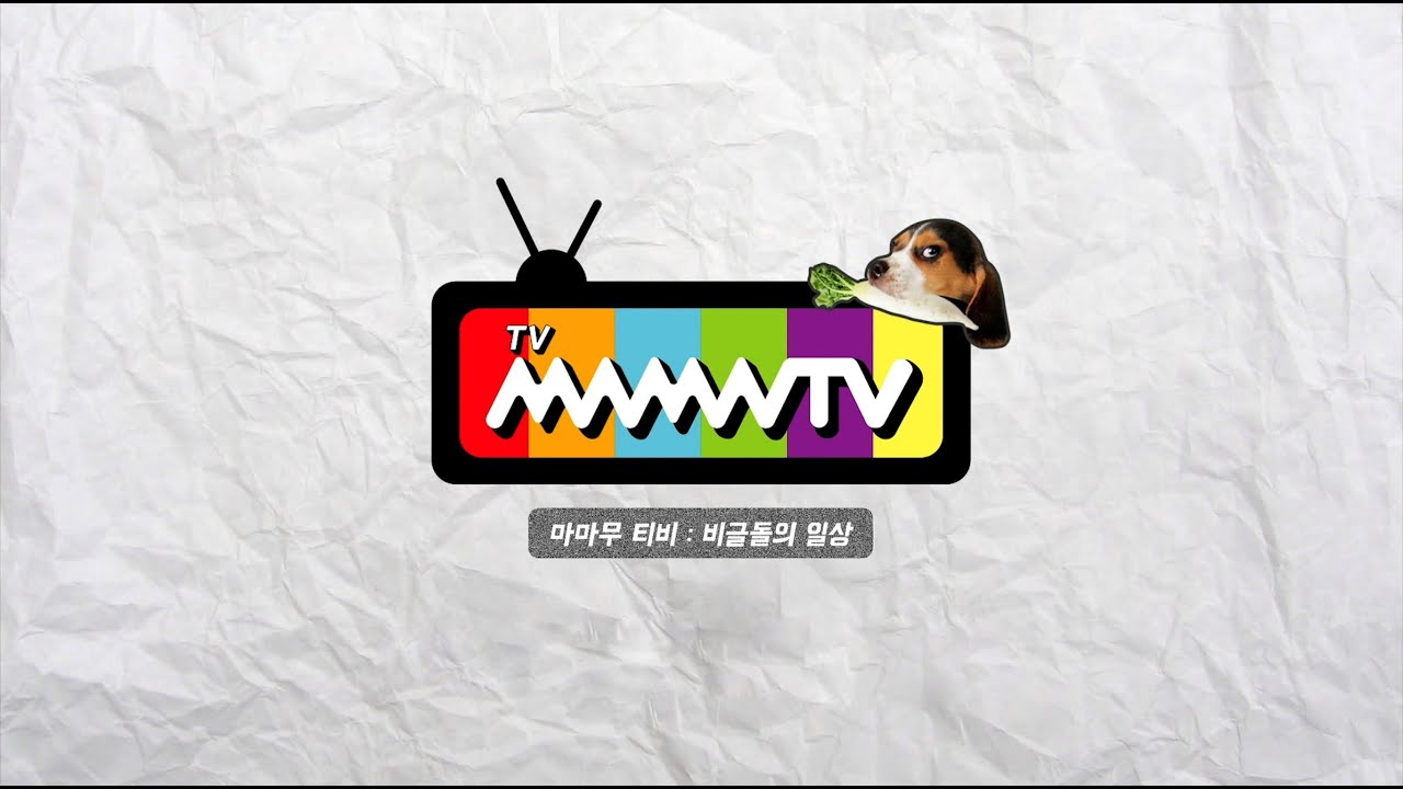 16분19초에 마마무티비시즌1~7을 다 보기! MAMAMOO MMMTV 7 Seasons Compilcation