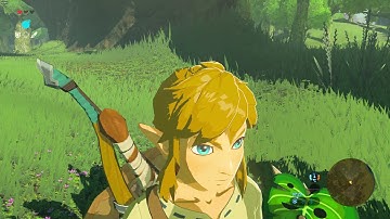 Weird Cemu Glitch | Link drowning in mid air