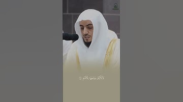 تلاوة خاشعة مميزة من سورة الرحمن لفضيلة الشيخ د الوليد الشمسان من تراويح رمضان 1445 #الوليد_الشمسان