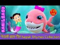 Baby shark doo doo  nepali rhymes collection      