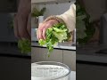 This compact spinner saves so much space #organization #kitchen #gadgets