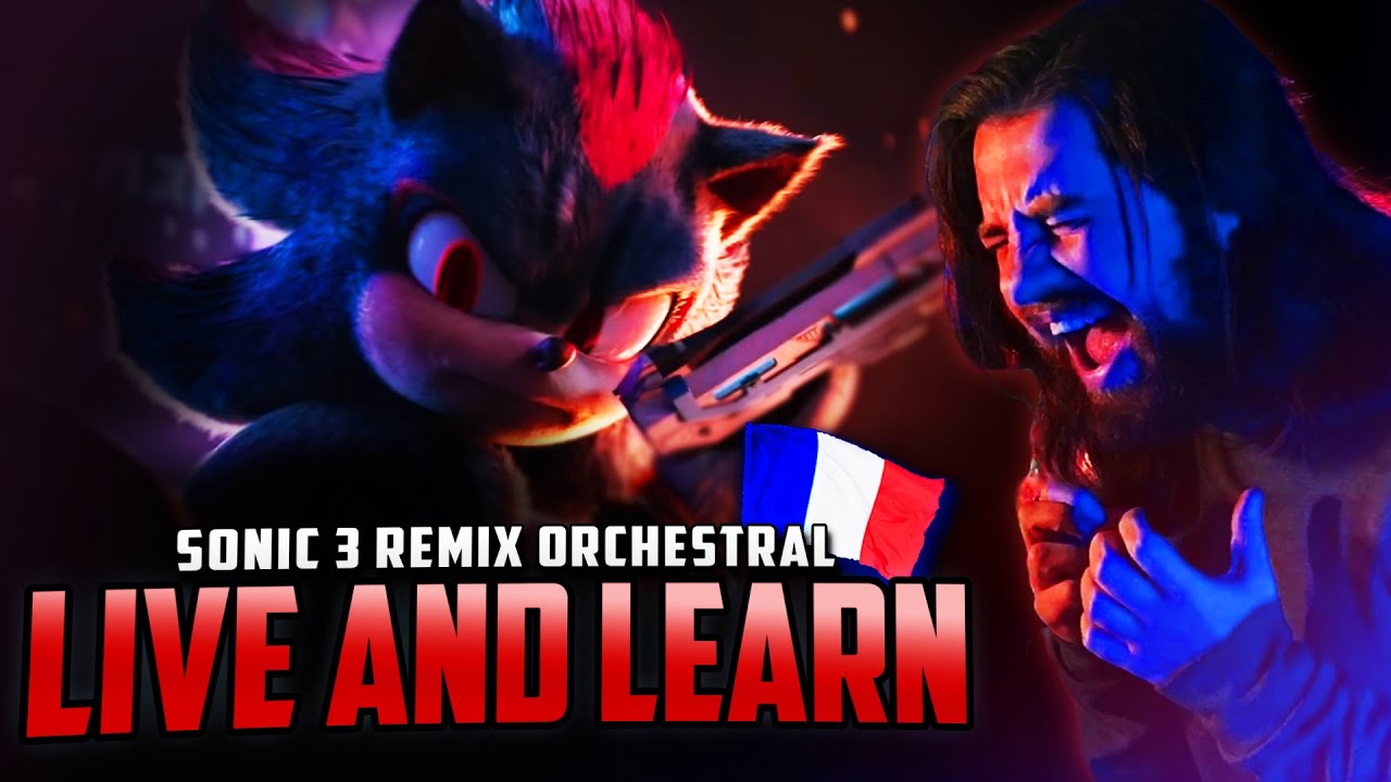 Live and Learn - Version SONIC 3 (French cover) - YouTube