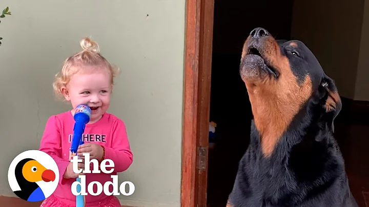 Loyal Rottweiler Copies Everything Her Baby Sister Does | The Dodo Soulmates - DayDayNews