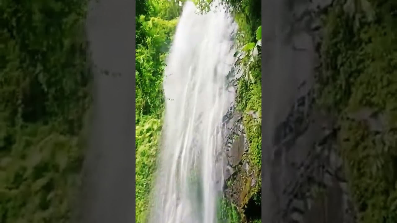 Hidden Waterfall in the Woods | Nature’s Secret Spot