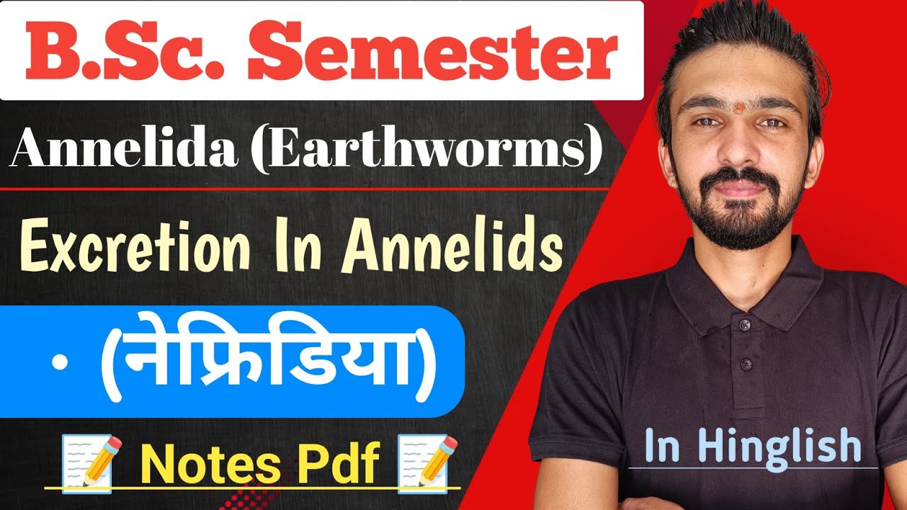 Excretion In Annelids (Earthworms) | Nephridia | Bsc Semester || By Dadhich Sir