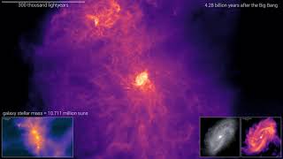 Galactic fountains and carousels: Order emerging from chaos