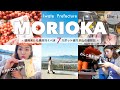 【岩手vlog】絶対行くべき盛岡の観光＆人気グルメスポット７選🍜初めてのわんこそば何杯？[Day3]