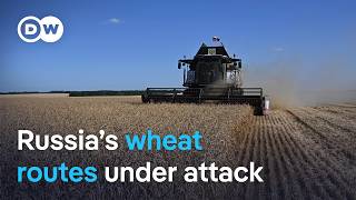 Russia’s grain exports under pressure: Ukraine targets key shipping routes | DW News
