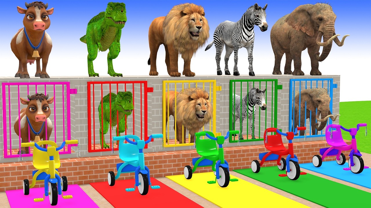 Long Slide Game With Cow Elephant Gorilla Hippopotamus Tiger 3d Animal Game Funny 3d Animals