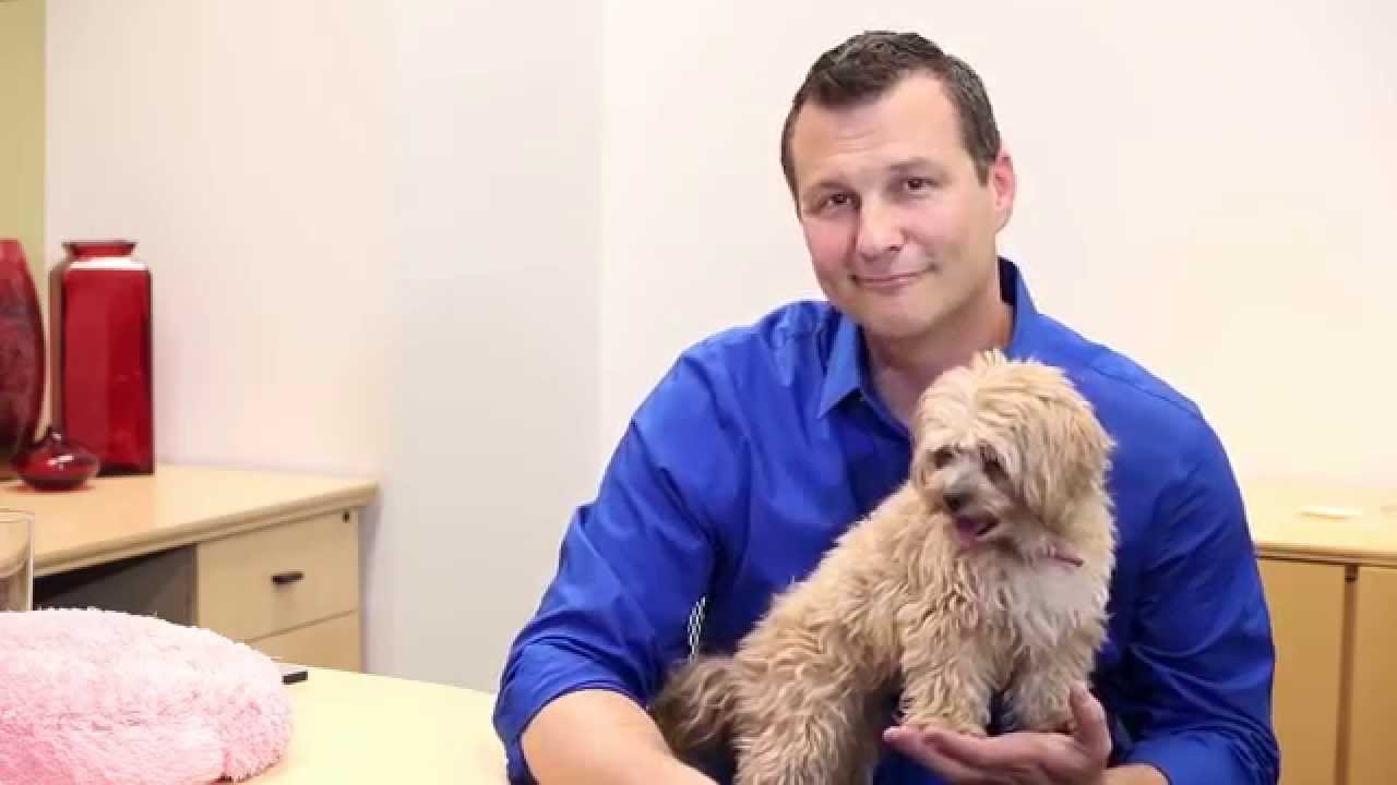 Business Advice Jay Fiset - Create the Results You Want in Business & Life