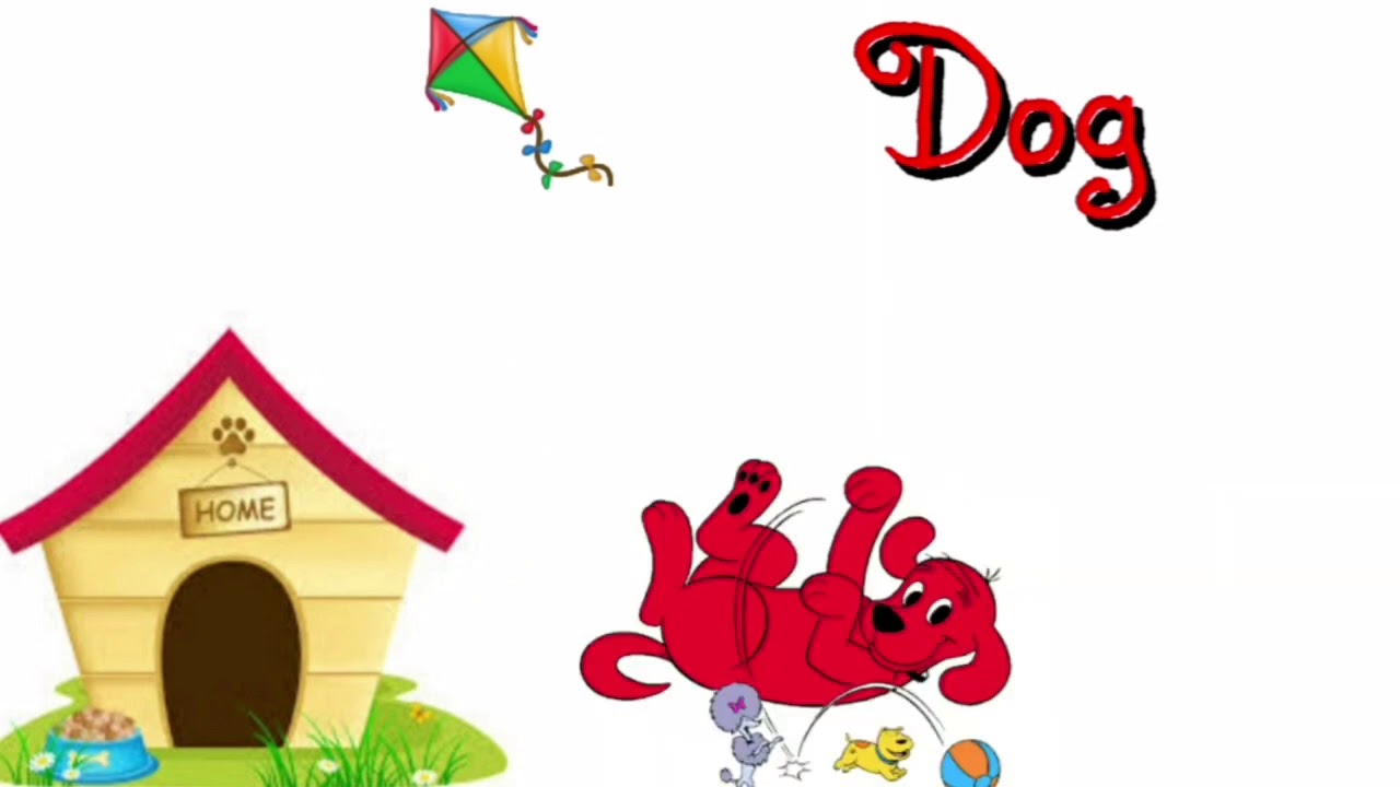 Pets! We love pets! YouTube