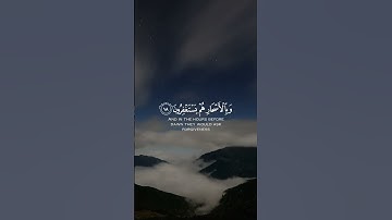 ( كانوا قليلا من الليل ما يهجعون ) | القارئ انس شهاب  | مقاطع قرآن قصيرة وحالات واتس إسلامية 🌱