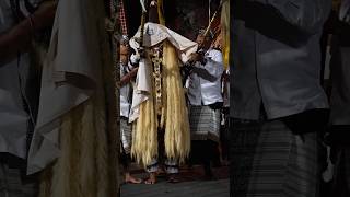 Sesuwunan Tanjung Benoa Mesolah