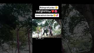sil bekarar hai tujhe pane ke liye ae vardi ❤️