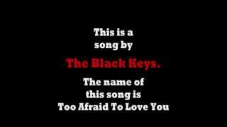 The Black Keys - Too Afraid To Love You chords