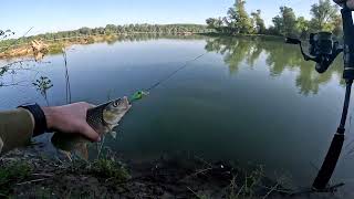 Varaličarenje na reci Savi - klen i štukice / Spinning at Sava river - chub and pikes