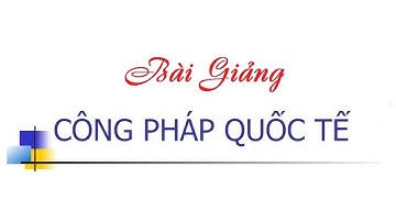 Công pháp quốc tế 03 C1 III Mối quan hệ giữa Luật quốc tế và luật quốc gia