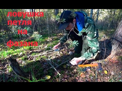 Видео: Ловушка (Петля) на фазана своими руками. Приключения Vitalika Ignatyuka.