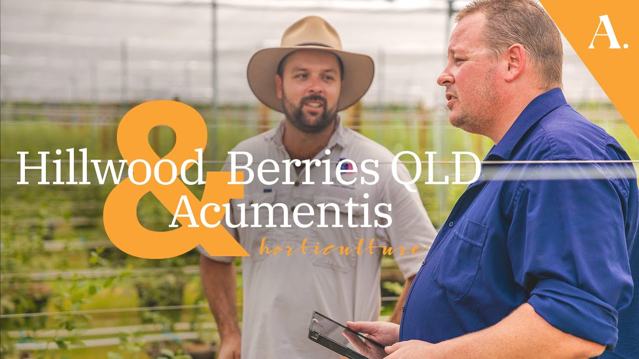 Horticulture Property Valuations for Year-Round Berries - Hillwood Berries Queensland & Acumentis