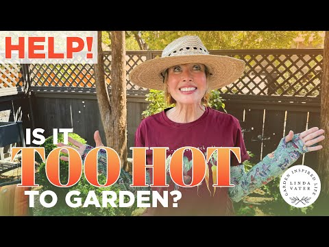 HELP! My Late Summer Garden Looks Like S!#% ‼️