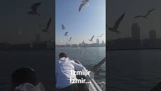 İzmir, Deniz, Martı...