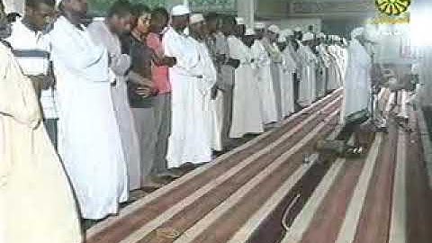 شيخ الزين محمد احمد ايات من سورة هود تراويح 2012