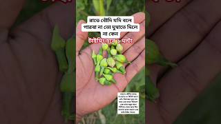 #plantsofindia #plants #shortvideo#gardenplants #garden การตอนมะละกอ โดยไม่ใช้ดิน ไม่ใช้ แกลบ.
