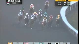 Turfway Park 12272015 Race 6