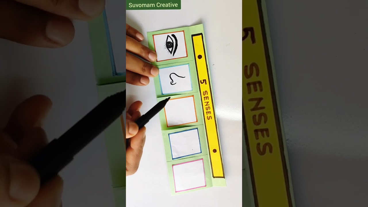 Sensor Organs Craft Model | Sensory Organs for Project | Sense Organs | #youtubeshorts #shorts