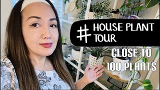 Meet my Indoor Houseplants \/ 100 indoor plants I think!? \/ Houseplant Tour with plant names