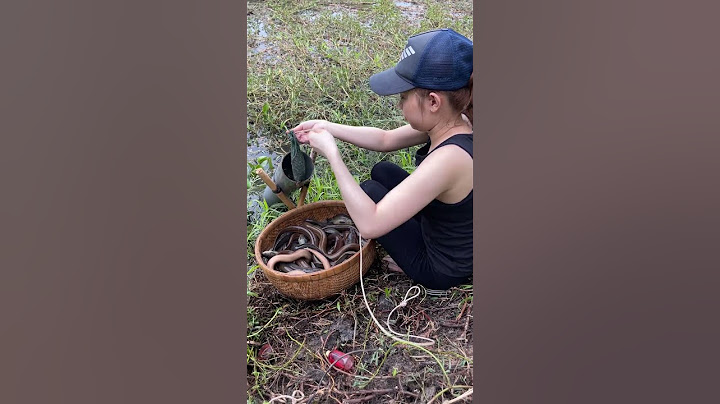 Unbelievable Oil Fishing Technique With Survival Skills