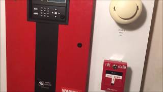 Wall Test 5: Whoop