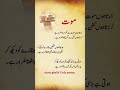 chota ghalib poetry+islamic talking follow more video #foryou #shorts #subscribe #share #duet
