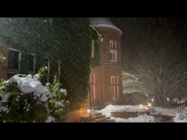 A Walk in the Winter Woods: Craigendarroch Lodges, Ballater, Royal Deeside, Scotland