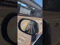 Caught on camera: Chicken crosses I-290 during rush hour 🐓