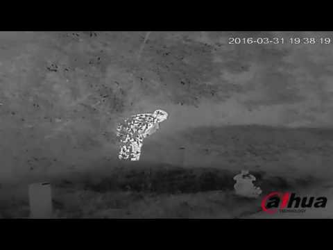 DAHUA Thermal Camera - BF5600