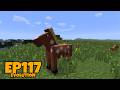 Minecraft Evolution Episode 117 | A new Game, a new Friend