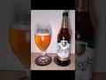 Zatecky 5% Polish Lager. #beerreview #polishbeer #czechbeer #beer #travel #poland #beertourism