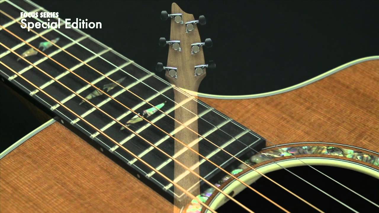 Breedlove Focus SE Special Edition Acoustic-Electric Guitar