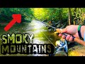 TROUT FISHING creeks in the SMOKY MOUNTAINS! Gatlinburg, Tennessee and Pigeon Forge