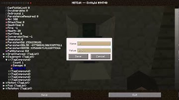 Ingame NBTEdit introduction