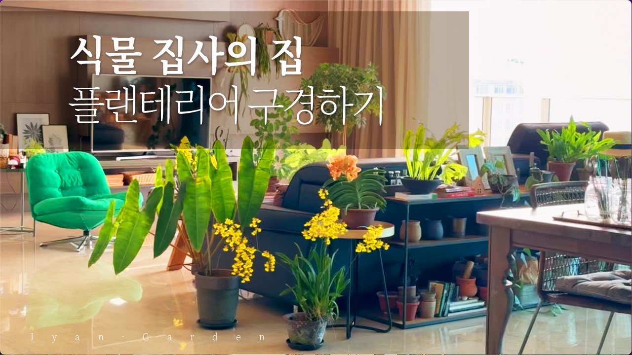 식물 집사의 집 | 룸 투어 | 플랜테리어 구경하기 | 실내에서 키우기 쉬운 식물 추천