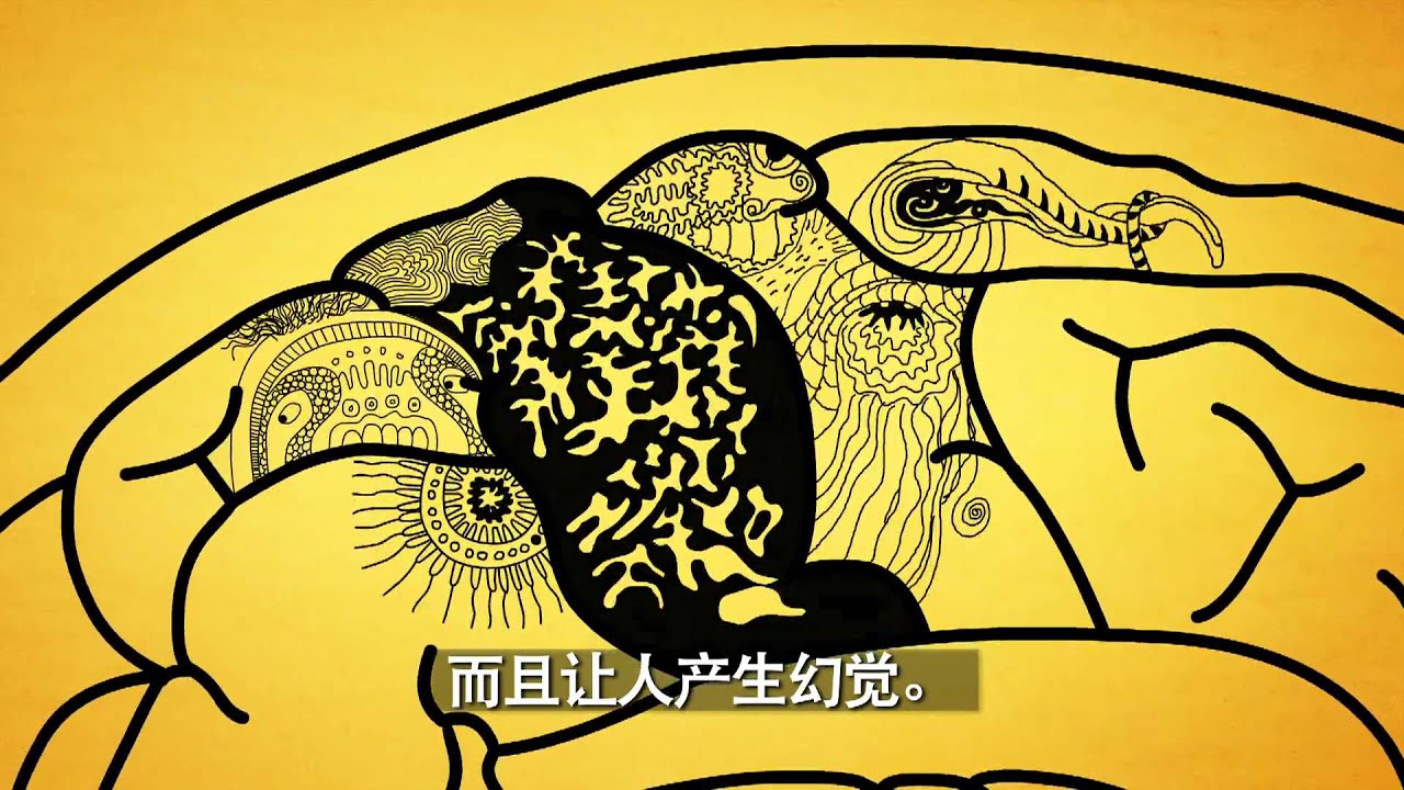 What Is Alzheimer's Disease? (Simplified Chinese)