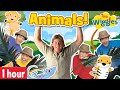 Animal Songs & Nursery Rhymes for Kids | The Wiggles feat. Crocodile Hunter Steve Irwin and more!
