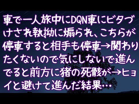 【修羅場】車で一人旅中にDQN車にビタづけされ執拗に煽られ、こちらが停車すると相手も停車→関わりたくないので気にしないで進んでると前方に猪の死骸が→ヒョイと避けて進んだ結果…