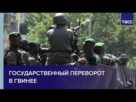 Video: Үй жаныбарыңыздын Гвинея чочкосун ден-соолукка жана бактылуу кылууга керек болгон 5 нерсе