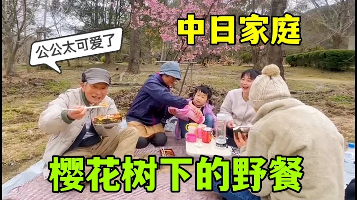 日本農村櫻花初開，祖孫三代出來野餐，公公興奮得像個小孩 - 天天要聞